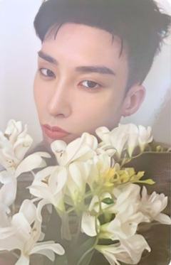 bright版专卡5 ver.B