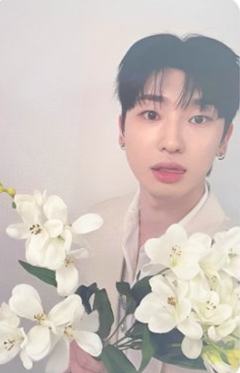 bright版专卡8 ver.B