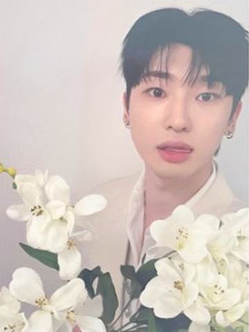 bright版专卡8 ver.B