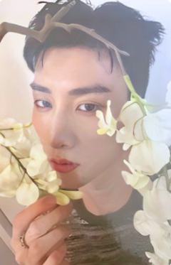 bright版专卡5 ver.A