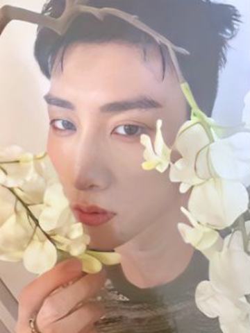 bright版专卡5 ver.A