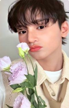 bright版专卡3 ver.A