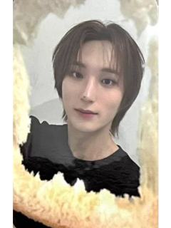 ny线上签售5.0 7 吐司ver.