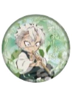 不死川实弥徽章-中国版乐器系列第二弹