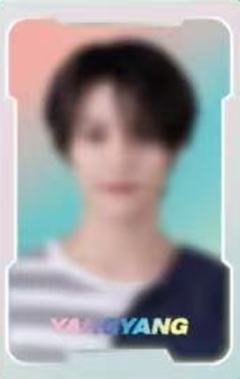 nct zone园丁 羊 sp ver.