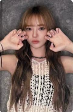 埼玉&兵庫&烏取场限卡2