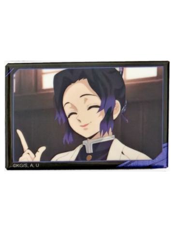 蝴蝶忍-全集中展立志篇系列场景徽章