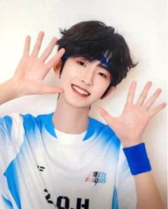 2025夏日运动会撕拉片 奇函