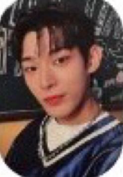 人歌打歌卡steven