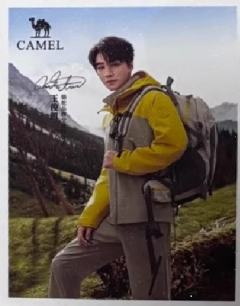 骆驼代言撕拉片 ver.D