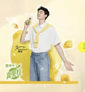 真果粒代言手机支架