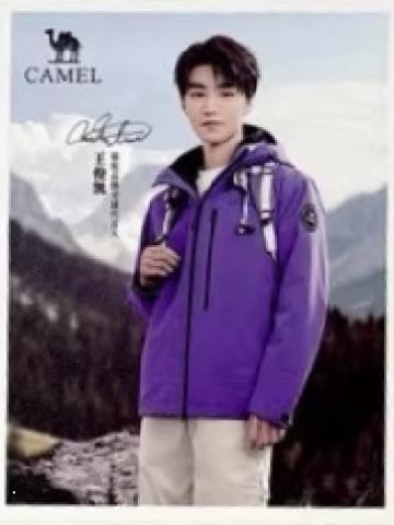 骆驼代言撕拉片 ver.B