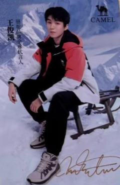 骆驼代言小卡 凯 ver.B