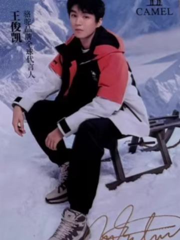 骆驼代言小卡 凯 ver.B