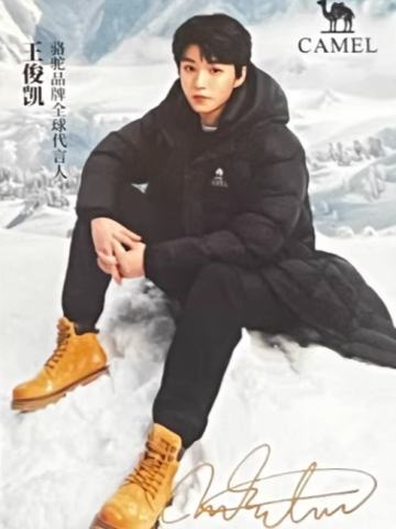 骆驼代言小卡 凯 ver.G