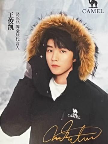 骆驼代言小卡 凯 ver.E