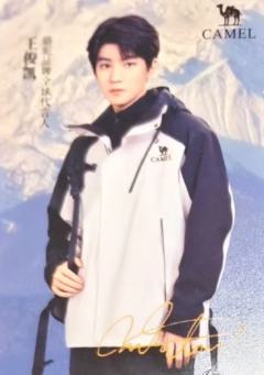 骆驼代言小卡 凯 ver.D