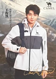 骆驼代言小卡 凯 ver.C