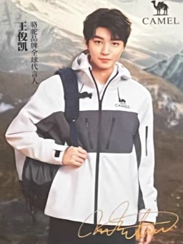 骆驼代言小卡 凯 ver.C