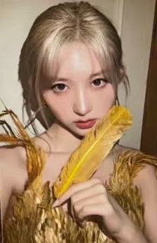 focusstar杂志卡 ver.E