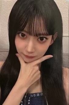 k4预售 樱 单封ver.