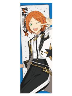 葵日向-DREAM LIVE Tour 10th 角色海报