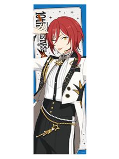 逆先夏目-DREAM LIVE Tour 10th 角色海报