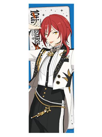 逆先夏目-DREAM LIVE Tour 10th 角色海报