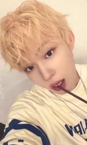 ms签售6.0 6 线下ver.