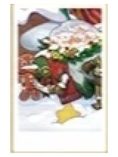 蜘蛛拍立得-2025秋季IJL决赛系列