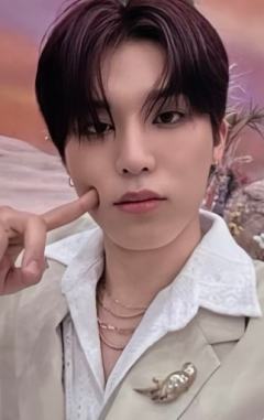 日巡场限 瓢 ver.C