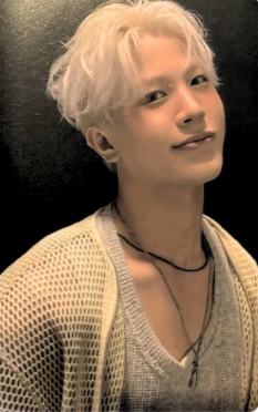 日巡场限 桃 ver.B