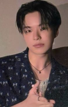 日巡场限 材 ver.B