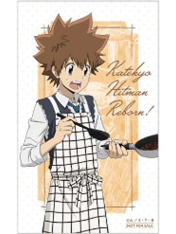 泽田纲吉-AGF2025 料理实习特典小卡