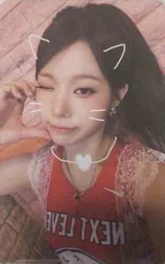 国际猫咪日谷物杯卡5