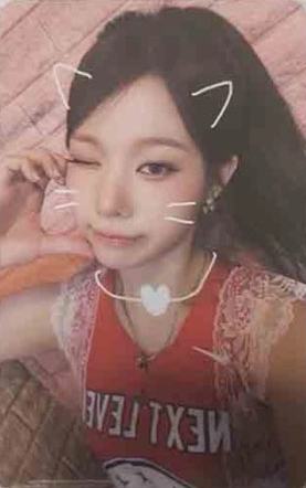 国际猫咪日谷物杯卡5