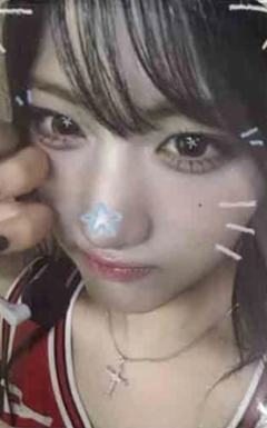 国际猫咪日谷物杯卡6