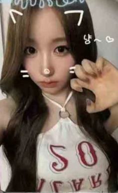 国际猫咪日谷物杯卡2