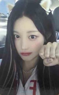 国际猫咪日签售4 线上ver.A