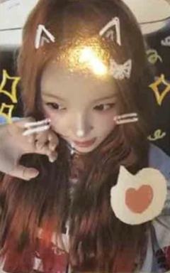 国际猫咪日谷物杯卡7