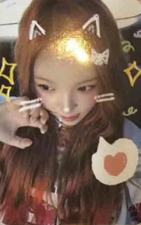 国际猫咪日谷物杯卡7