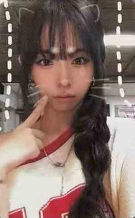 国际猫咪日谷物杯卡8