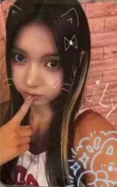 国际猫咪日谷物杯卡3