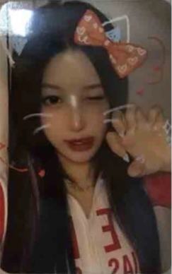 国际猫咪日谷物杯卡4