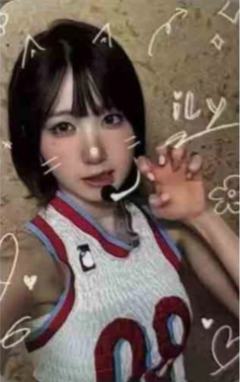 国际猫咪日谷物杯卡1