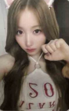 国际猫咪日签售2 线上ver.A