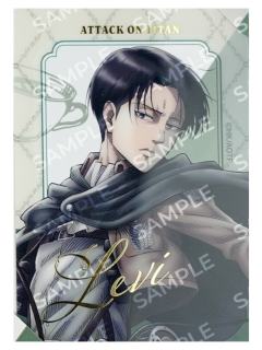 利威尔·阿克曼-骑马ver.透卡