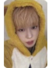 ms签售4.0 6 线下蜜蜂ver.