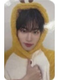 ms签售4.0 5 线下蜜蜂ver.