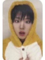 ms签售4.0 4 线下蜜蜂ver.